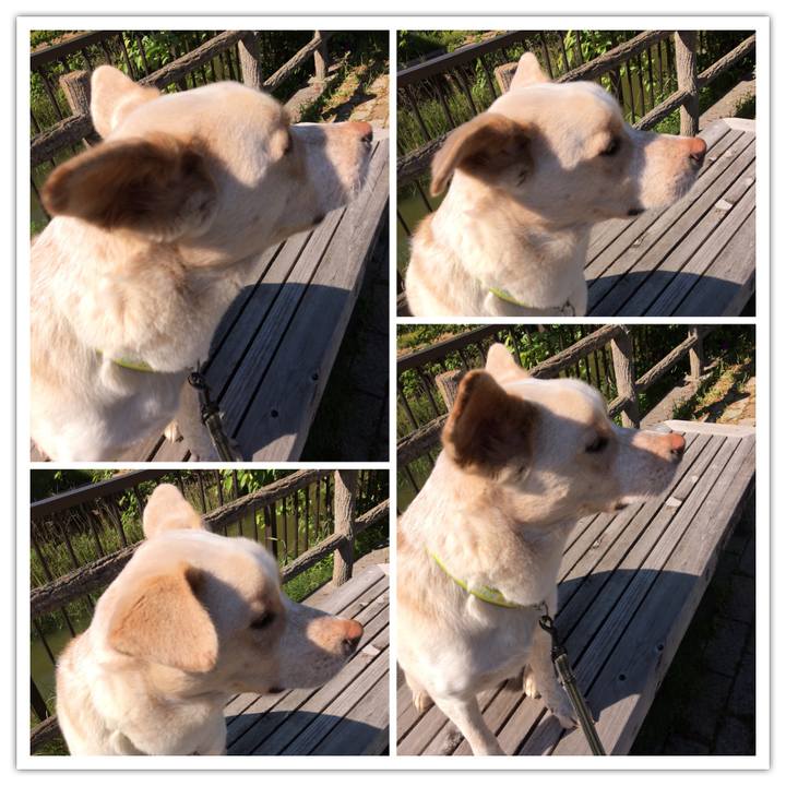 Ced3f71e 8348 4e99 8055 3341d39cc9ef