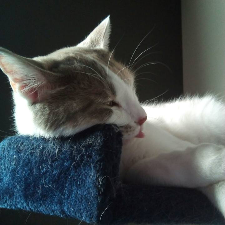 Ced43a98 b84a 4576 812d 9ae121728d09