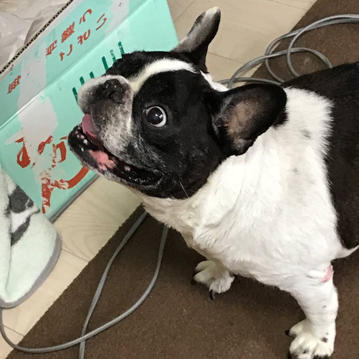 Ced47dc8 924d 40df 8302 03cdc73cc591