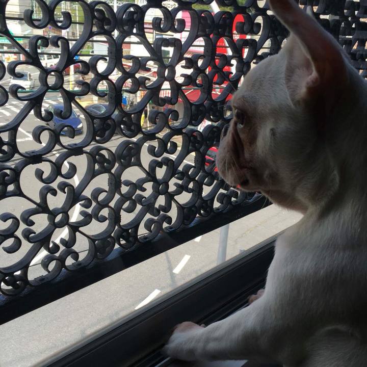 Ced4a0ed 30de 4aeb b42a d728c3565898