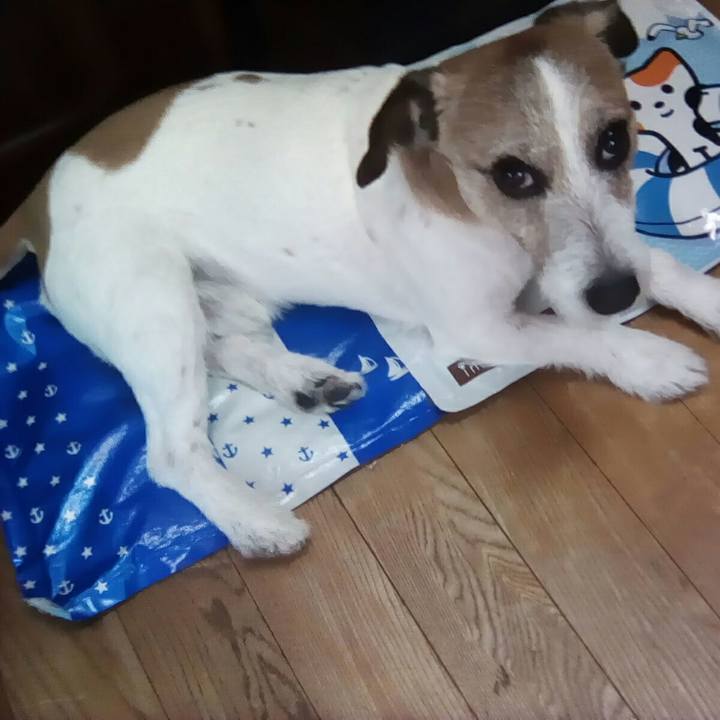 Ced4aecf ad8f 4912 a8b9 9cf022723d8f