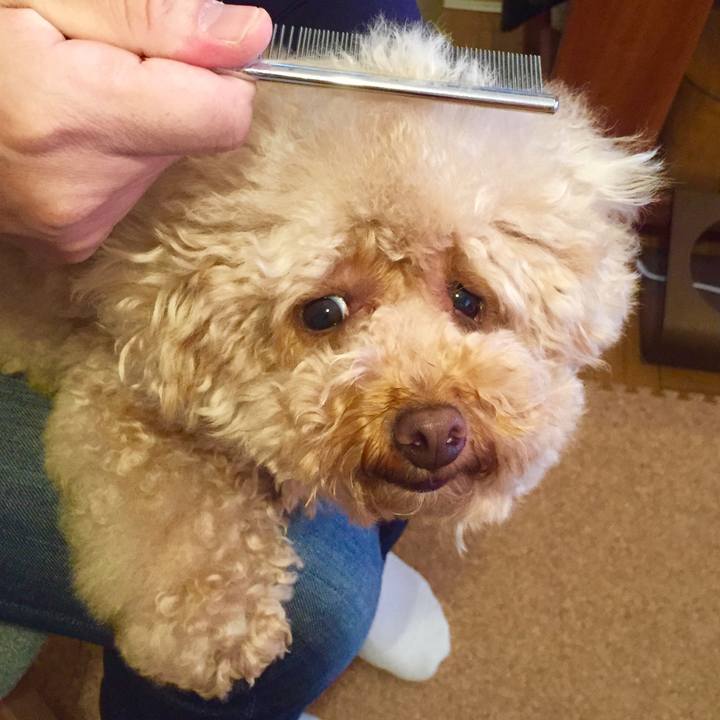 Ced50f8b c2b7 483c a370 e9effa996ec2