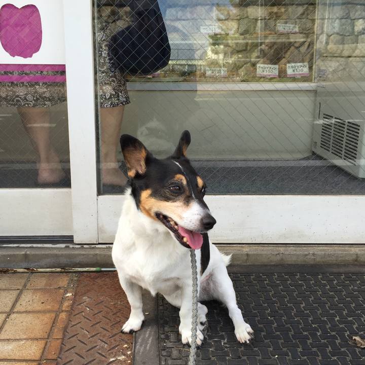 Ced65505 c137 4686 968b efaae7f92354