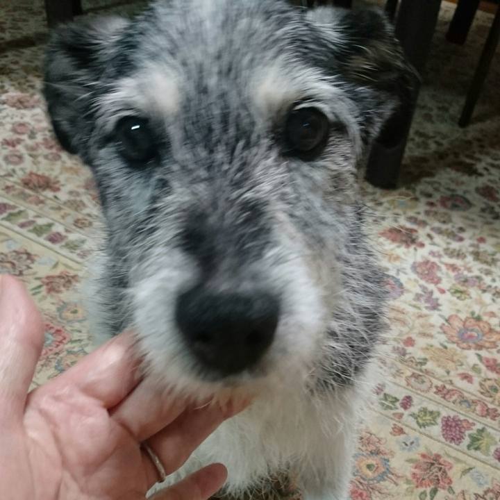 Ced6555f 1cc6 4671 973a d77ff657450f