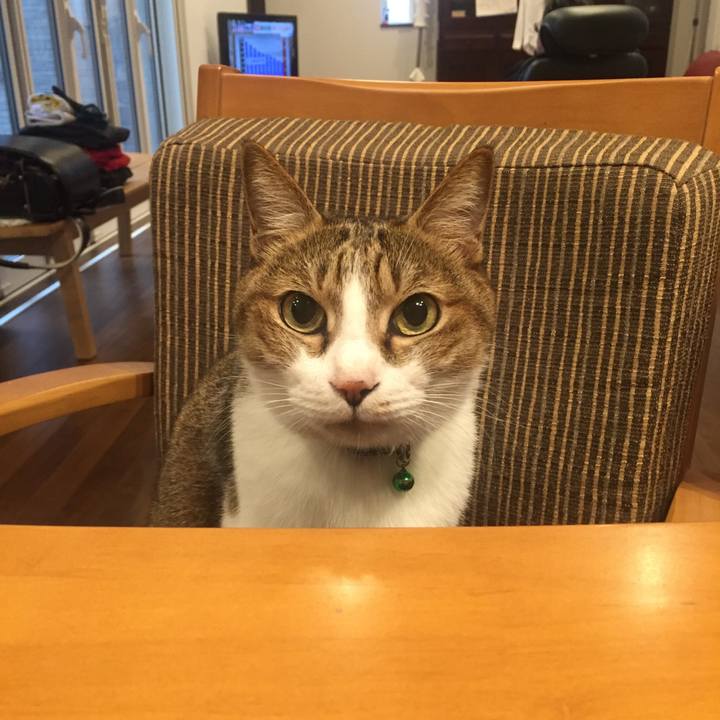 Ced79764 cdb6 4f85 ba9e e1d87d3eff4b