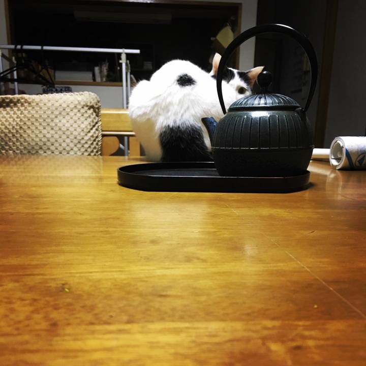 Ced7a8fd 658d 4b04 bd41 7977e67d6adc