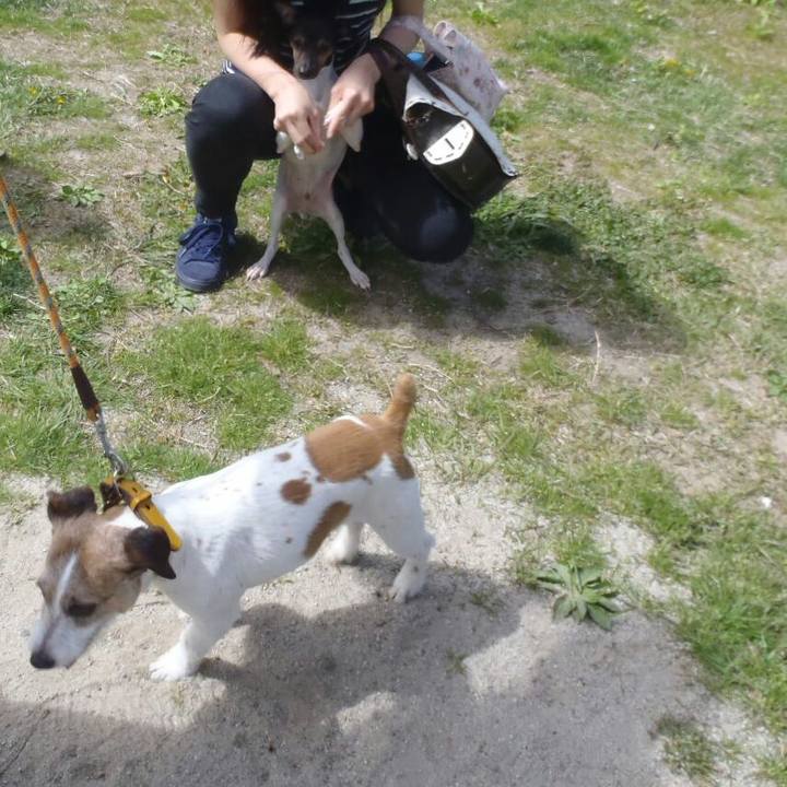 Ced7bc52 c6d7 441e a0cf eb4c077639cb