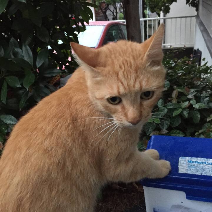 Ced7e950 e287 4c69 a492 3b30b7947707