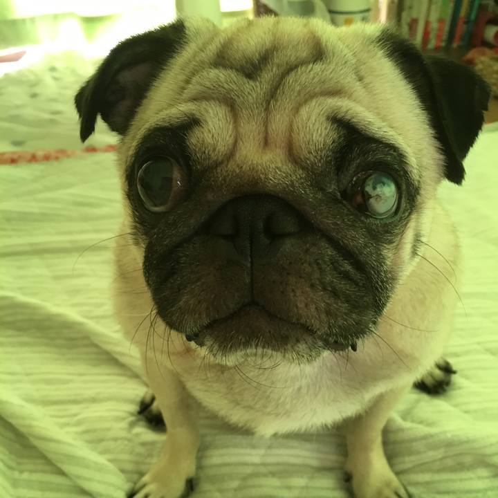 Ced8814d f89e 42ca a2e3 28744b92a38b