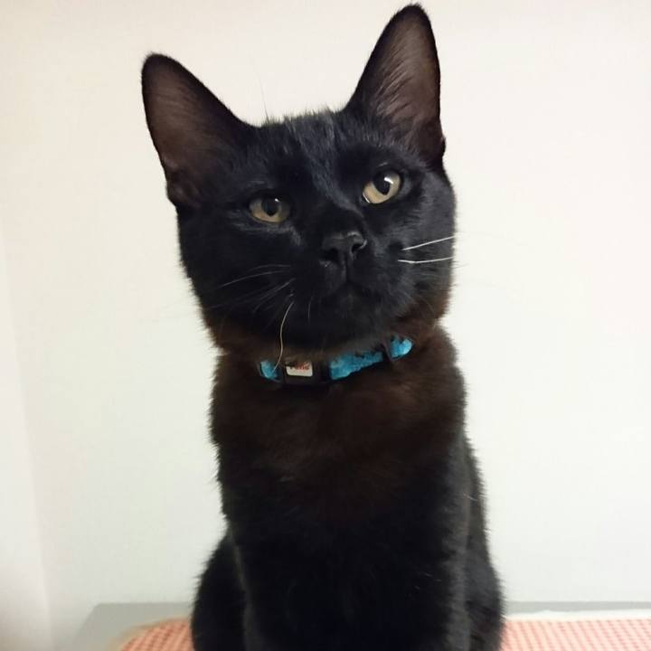 Ced89d7b 8d5d 44c4 8482 48d31dd914df