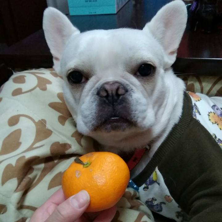 Ced8fffc d9f1 4d05 bd17 fa3ea83559f5