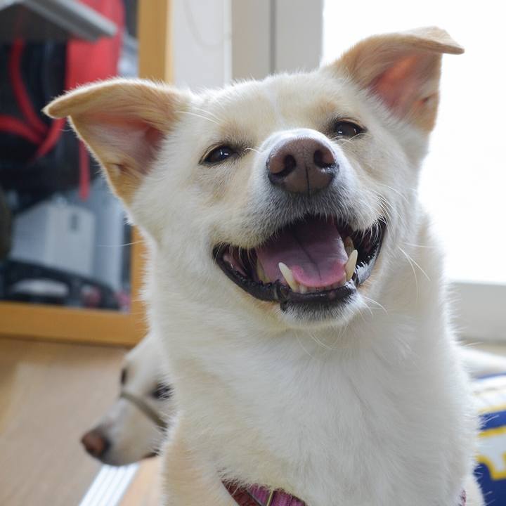 Ced95d4d 1d76 4bce ac81 fead29bb25fe