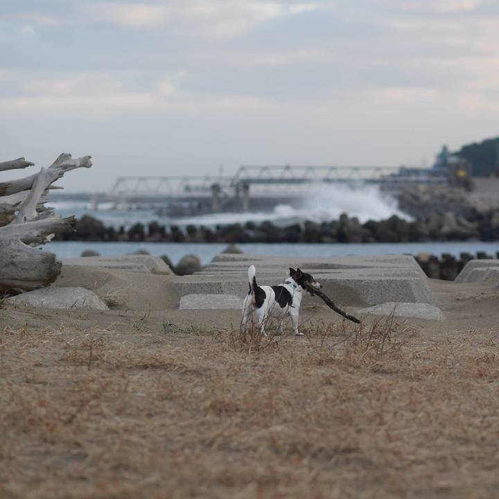 Ced9a332 52c4 4e55 8474 b77eeae94193