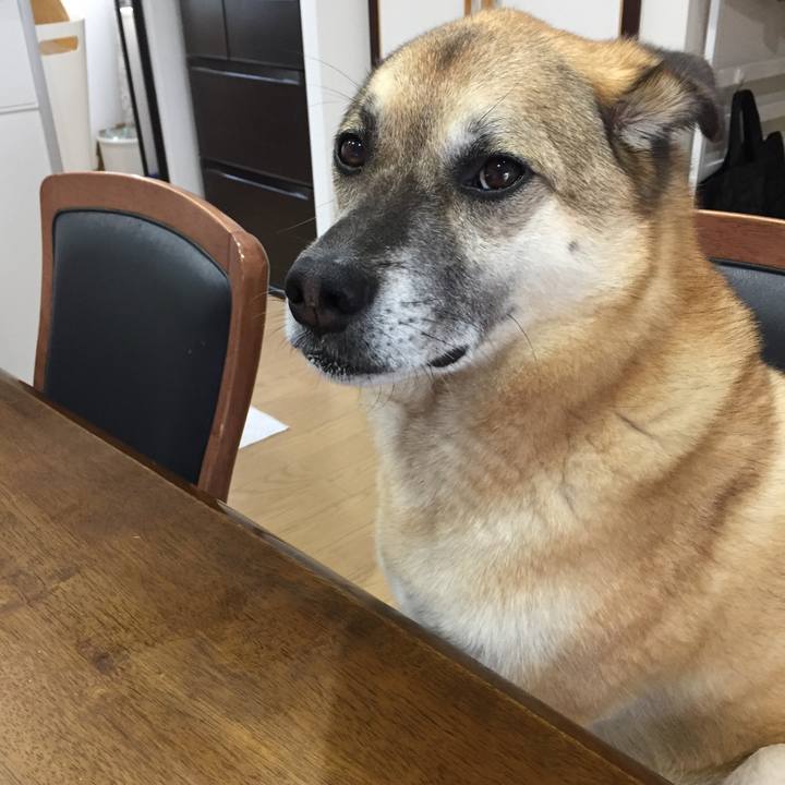 Ceda0ee0 fcf1 401a 9926 49bdd37b8cc6