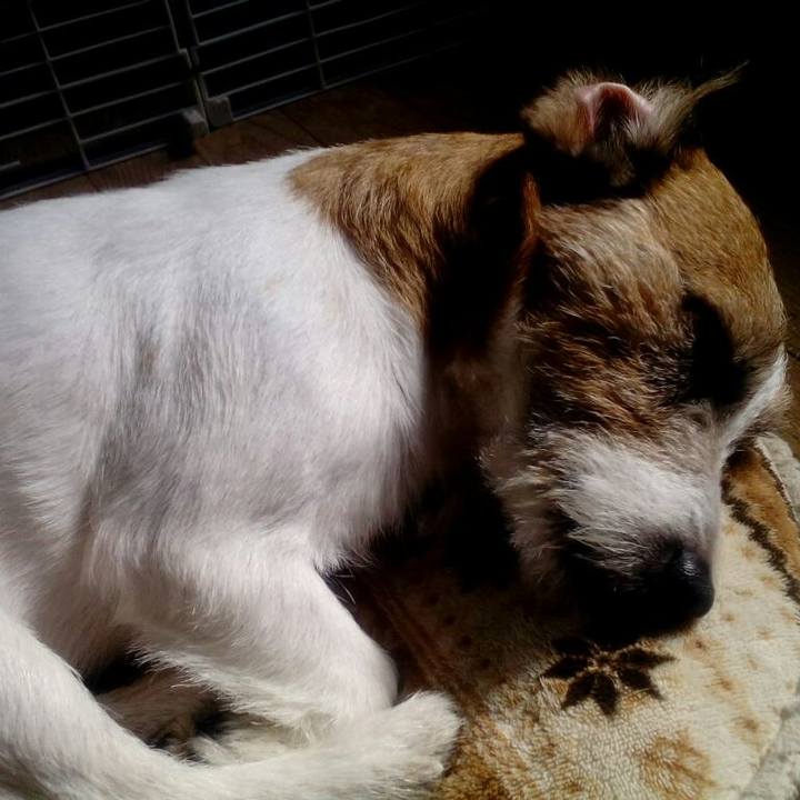 Cedb1ff1 f265 4acd ab5b f4332a682489