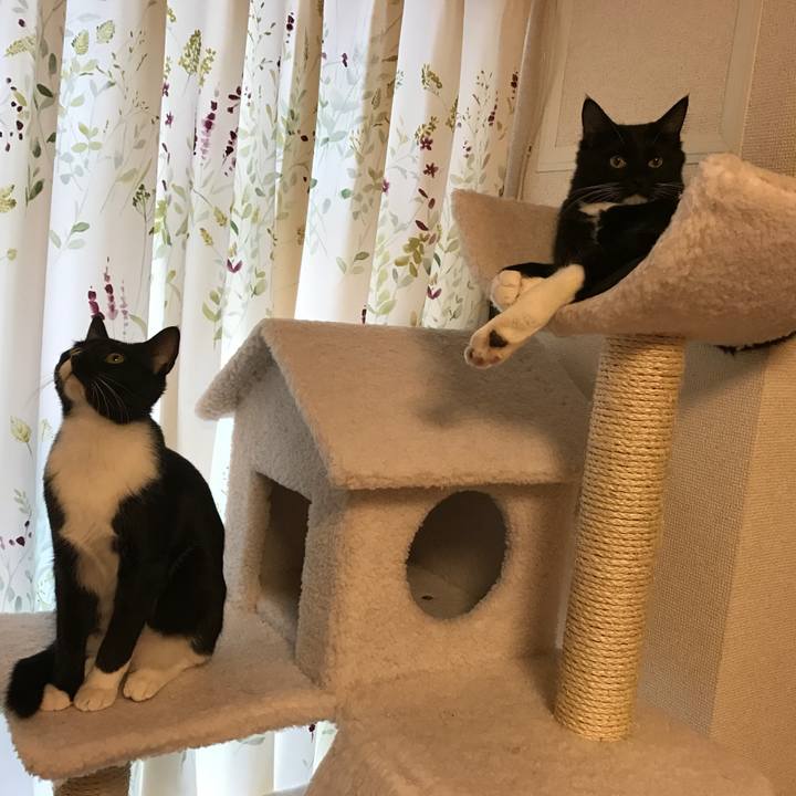 Cedb42ee ded7 4869 8d8a 9629ddf44178