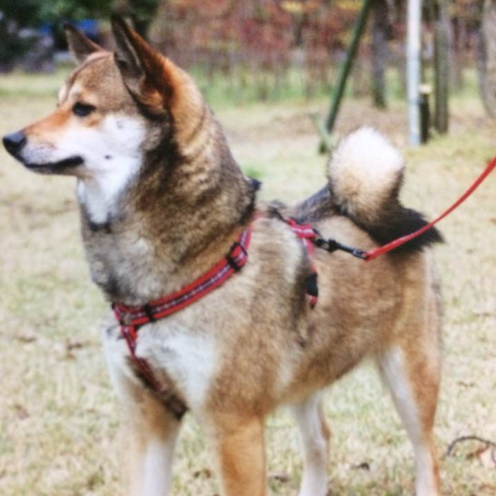 Cedb554f 011f 475f bcd0 f7bb29fb7ec9