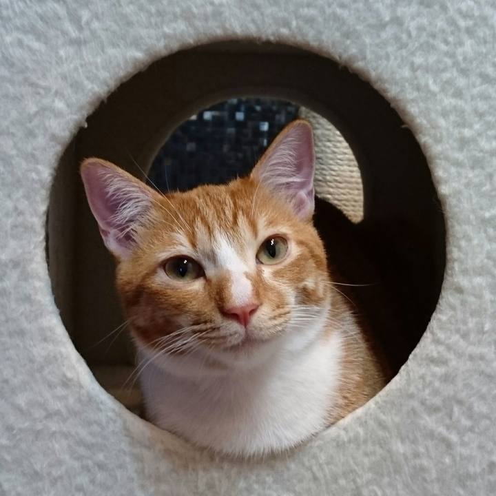 Cedb5d5b 116c 4621 a884 ce43188d2e8a