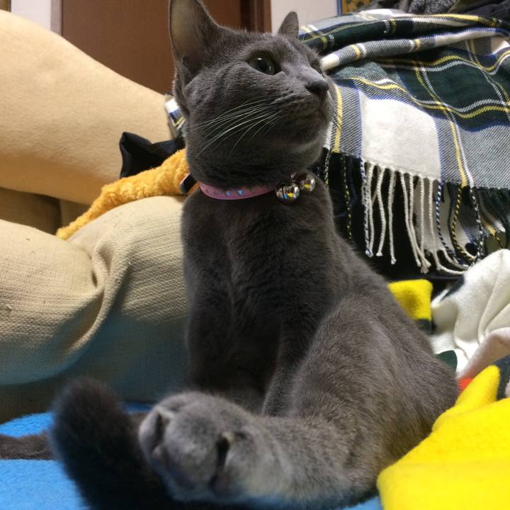 Cedba6e3 8756 4ea5 b2f6 aa178770d80d