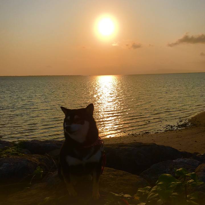 Cedc1433 a934 4f95 9556 dd0b3712938e