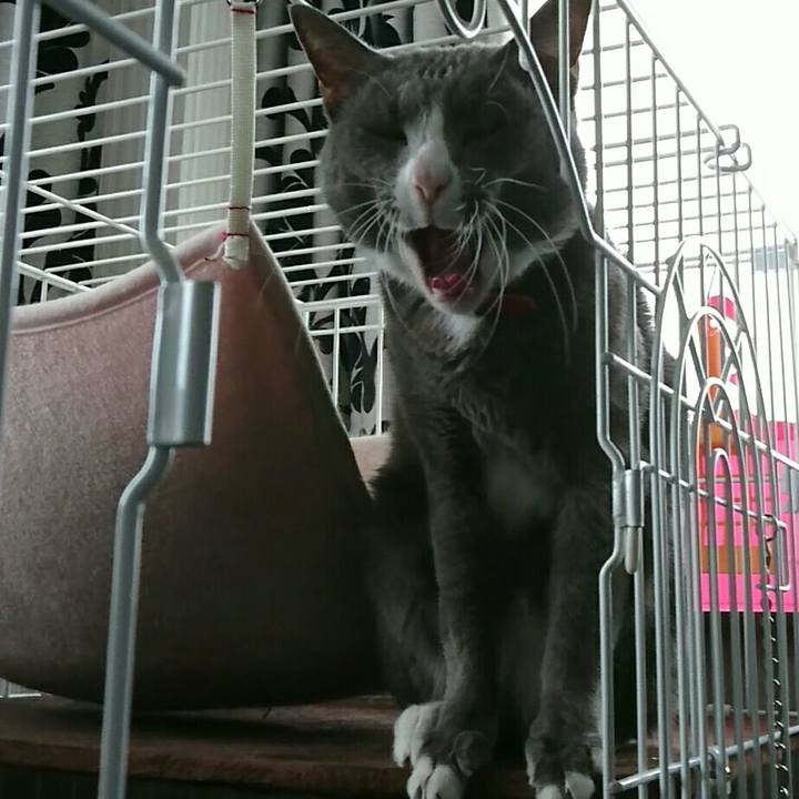 Cedcbd55 7904 4071 b50a 6a28f0380a01