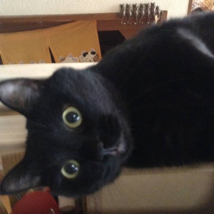 Cedd4466 23ae 4c53 80b0 2b7a155dacf9