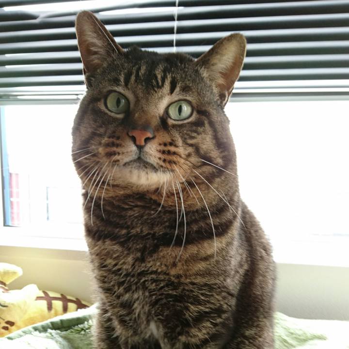 Ceddcf4c 263c 4dd4 aa94 03e164b33d1d