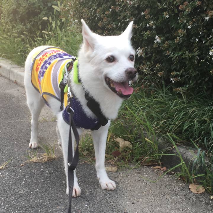 Cede0190 1a92 4405 8bac 87047e8a6d80