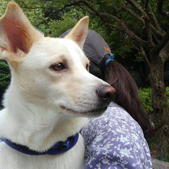 Cede43ee 8ab2 4f19 a935 528adce75090