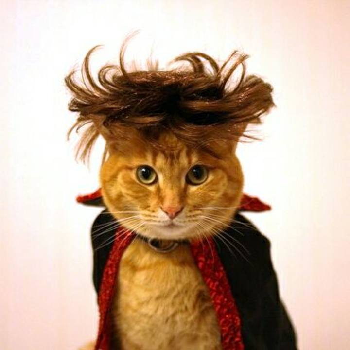 Cede81de 663a 471f b79b 814df8a1a11d