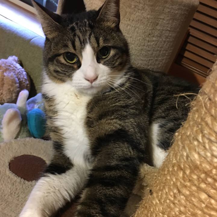 Cedfccbd 4302 4d6e 91bd 76334668c989