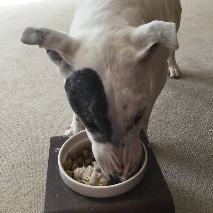 Cee04328 843f 4f88 b342 062872c75666