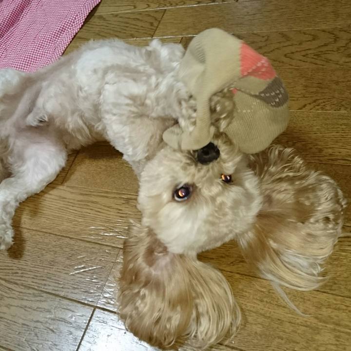 Cee0ece1 b09c 4a1a 8ca7 9d6a61688504