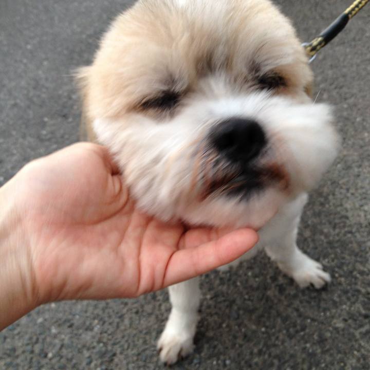 Cee0fabb 6ee9 48ab 894d 4067216ec39d