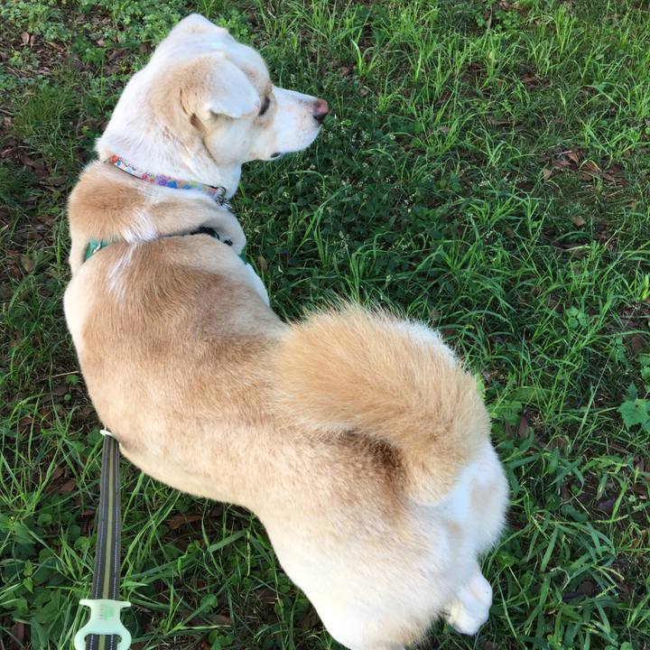 Cee102f4 31b4 4081 8761 e63ed1fc40fa