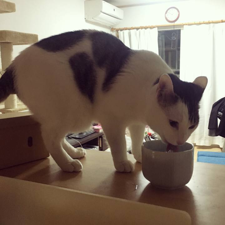 Cee12615 3834 4f30 81c3 885d5ba512a2