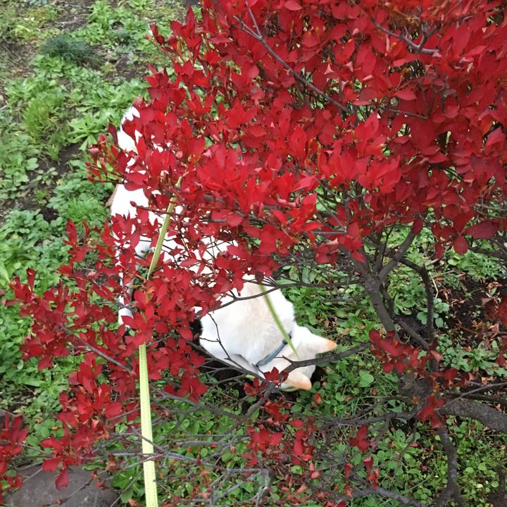 Cee14757 6512 479f a2bd 6aa5d4130028