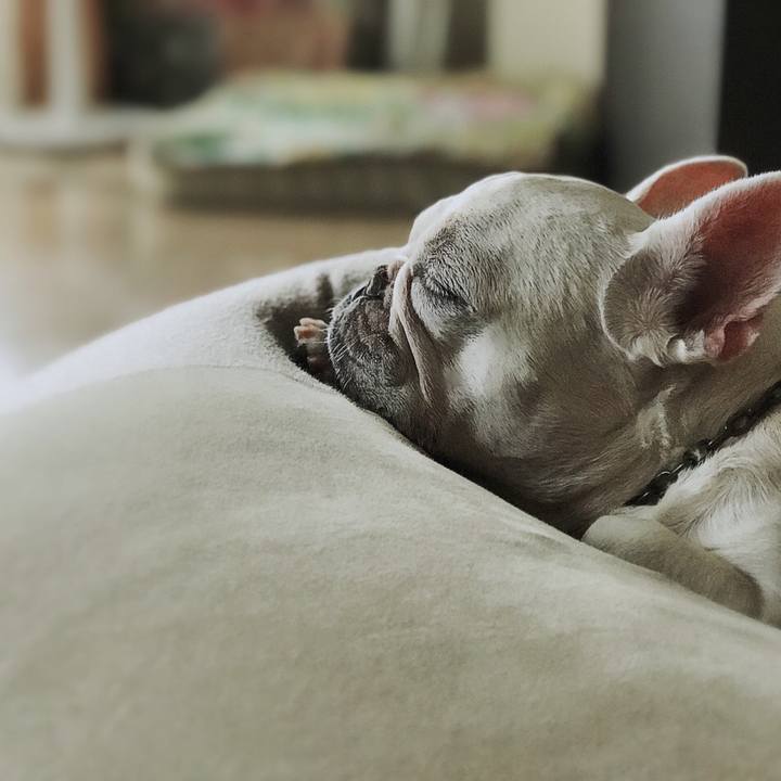 Cee191de b5d2 4c53 9e2a f98bc49405c5