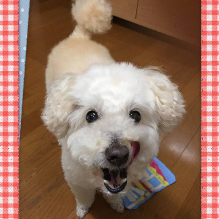 Cee1ead4 c4aa 434e bc47 af3756bb2e4a