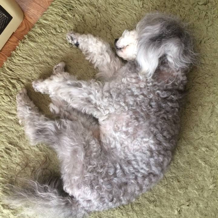 Cee26cab 450a 4ec1 a977 85ae045b8afd