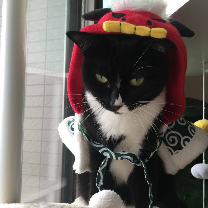 Cee32248 0200 41ad a462 ef90af5c9271