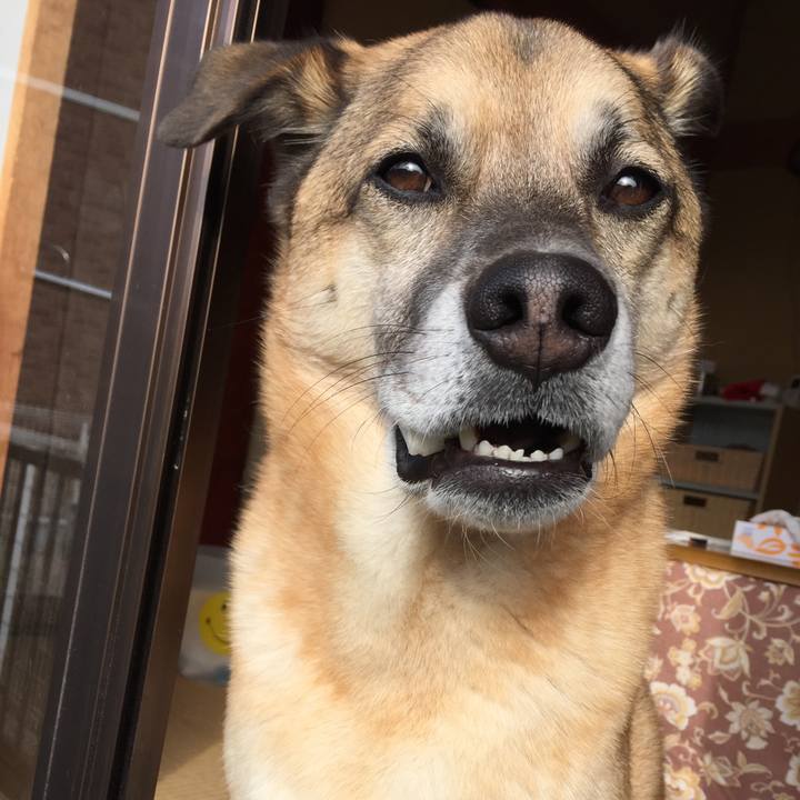 Cee35016 fcfe 4838 9bbd 86190835ce7c