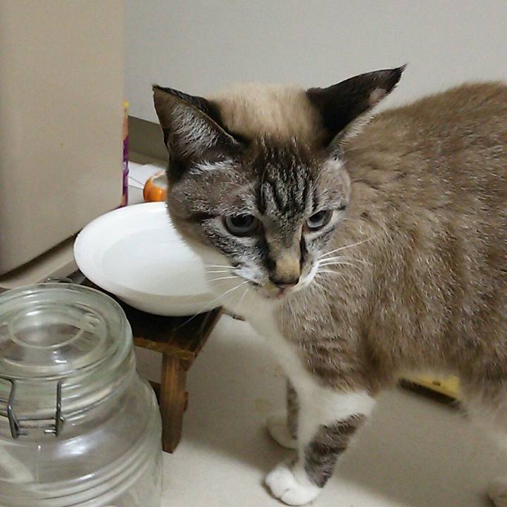 Cee5c46f fba9 4e5d bfb0 dcd95910bbb0