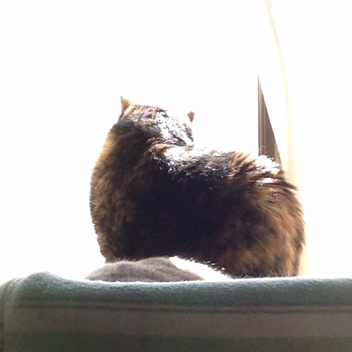 Cee64862 ac0c 424e b10a 0e04ed45d2cf