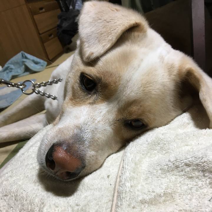 Cee69b6b 52fd 4480 ba2c 4ea2cd930ebf