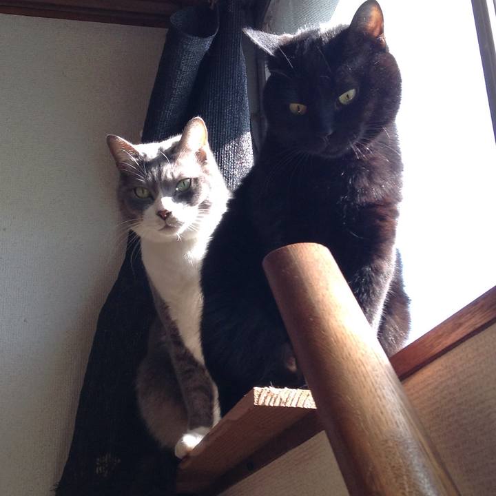 Cee6b015 9eef 448a b055 6f7f9bec9bdc