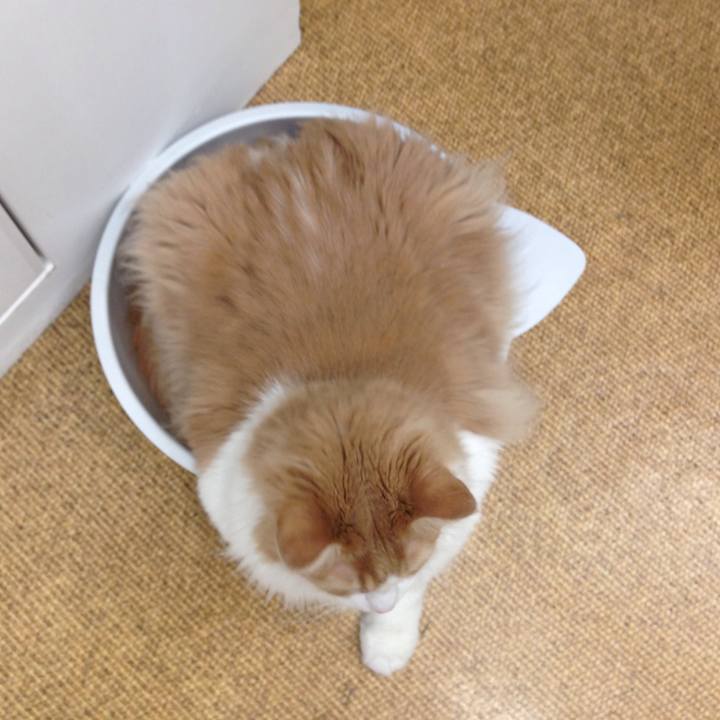 Cee6cfcb c164 4019 891a 01596bea2fe5