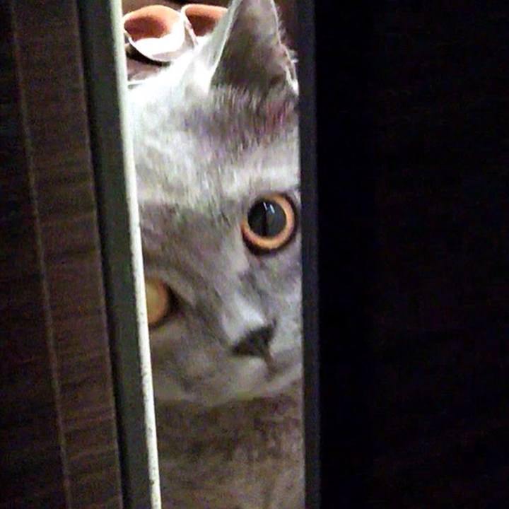 Cee6e5a0 c33d 4739 92e1 33b1aaafe23c