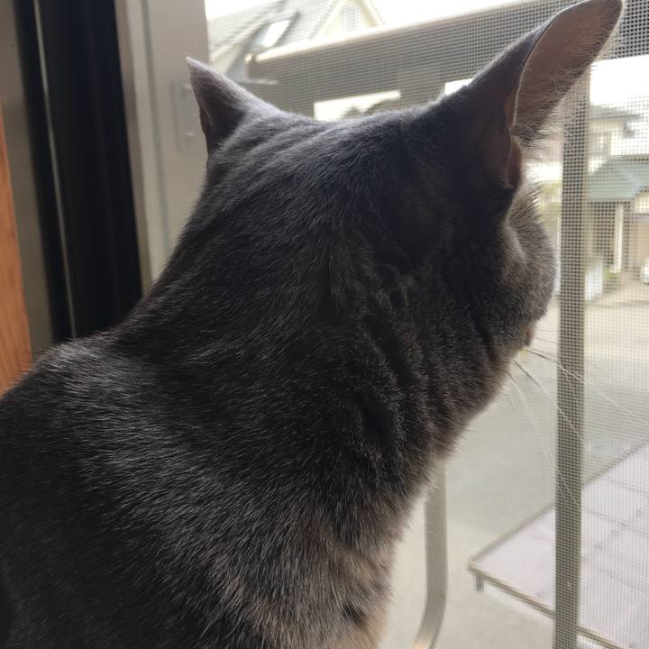 Cee773bb 5ac1 481d 9021 325fda7e40f3