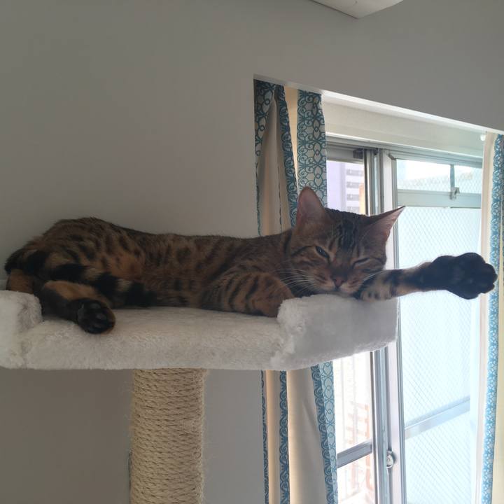 Cee78ca4 86c0 45bd bac4 cf70374884ef